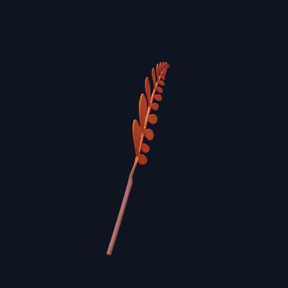 Realistic Fern Leaf Model Pack for D Rendering and Gaming